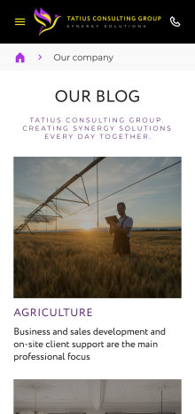 ™ Glowit, studio projektowania stron internetowych — Strona promocyjna Tatius Consulting Group_13