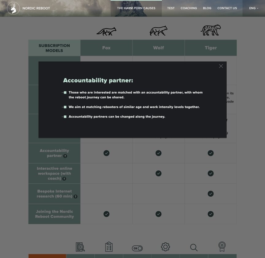 interior page design on the topic Biznes i firmy — Jednostronicowa witryna Nordic Reboot 6